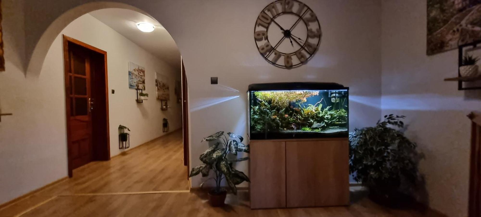 Noclegi Na Lacznej Świebodzice Εξωτερικό φωτογραφία